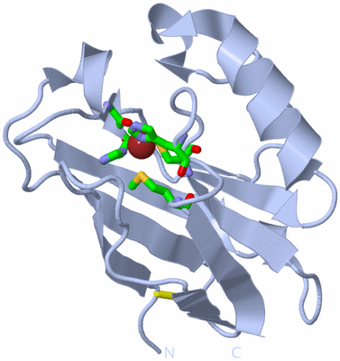 Image Biol. Unit 1 - sites