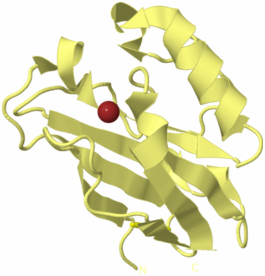 Image Biological Unit 4