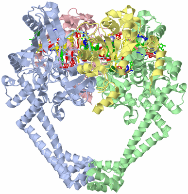 Image Asym./Biol. Unit