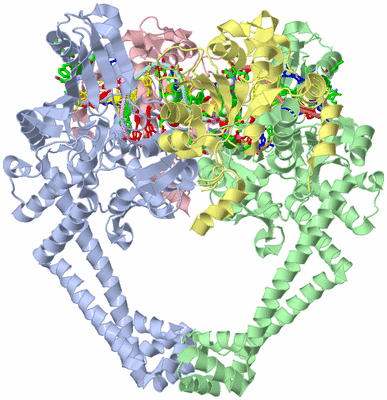 Image Asym./Biol. Unit - sites