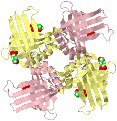 Image Biological Unit 2