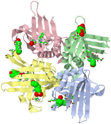 Image Asym./Biol. Unit - sites