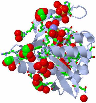 Image Biol. Unit 1 - sites