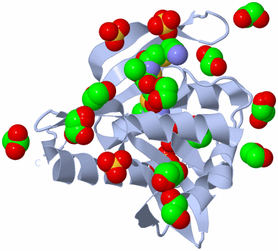 Image Biological Unit 1