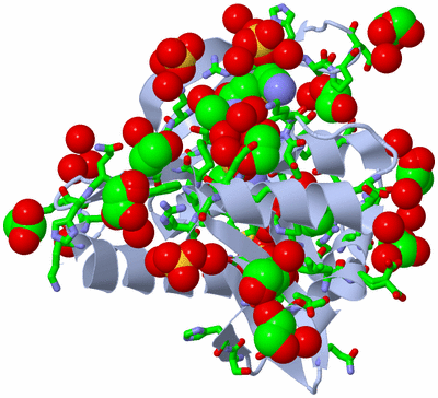 Image Biol. Unit 1 - sites