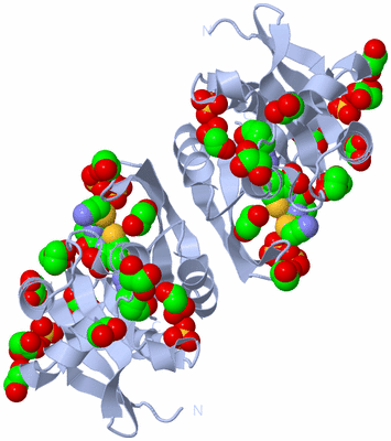 Image Biological Unit 2