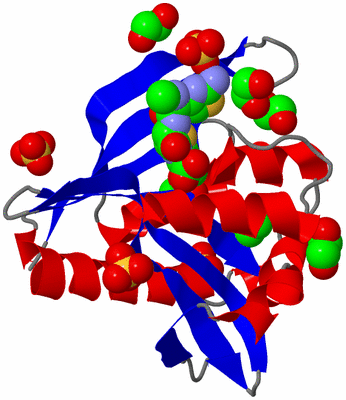 Image Asym./Biol. Unit