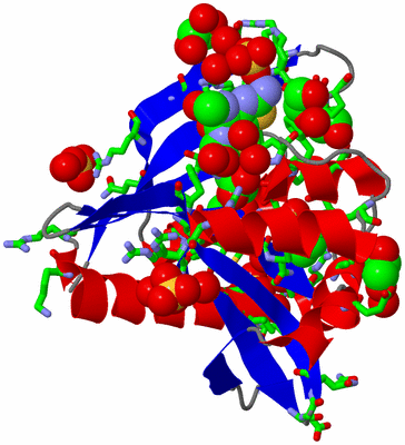 Image Asym./Biol. Unit - sites