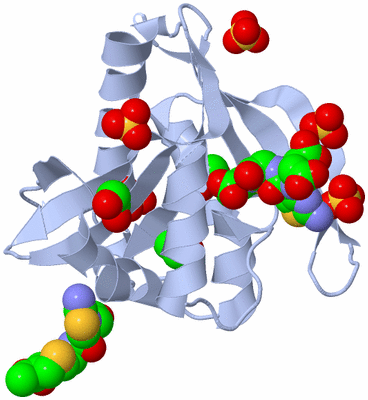 Image Biological Unit 1