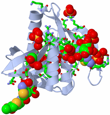 Image Biol. Unit 1 - sites