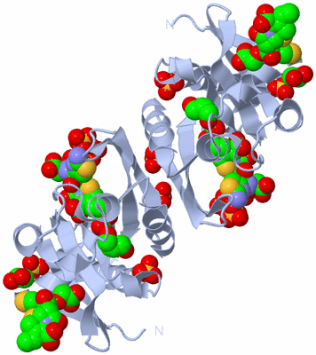 Image Biological Unit 2