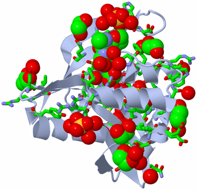 Image Biol. Unit 1 - sites