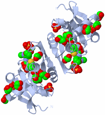 Image Biological Unit 2