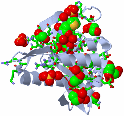 Image Biol. Unit 1 - sites