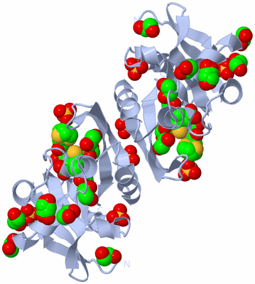 Image Biological Unit 2