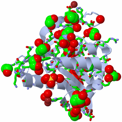 Image Biol. Unit 1 - sites