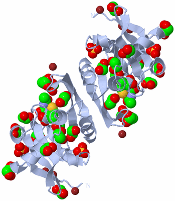 Image Biological Unit 2