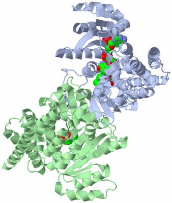 Image Asym./Biol. Unit