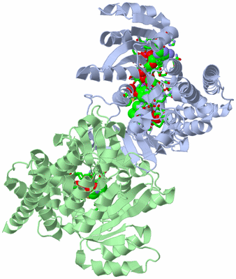 Image Asym./Biol. Unit - sites