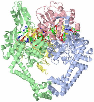 Image Asym./Biol. Unit