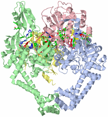 Image Asym./Biol. Unit - sites