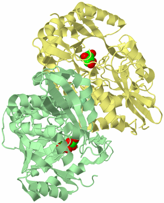 Image Biological Unit 2