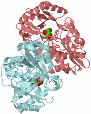 Image Biological Unit 4