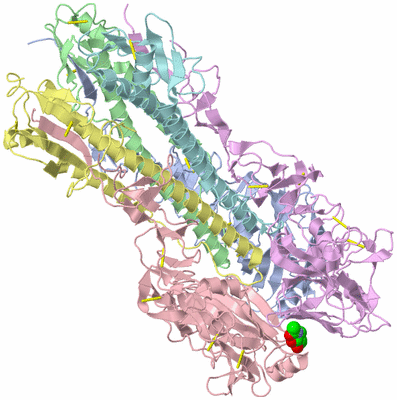 Image Asym./Biol. Unit