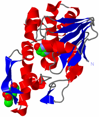 Image Asym./Biol. Unit