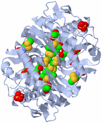 Image Biological Unit 1