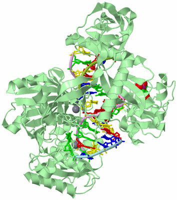 Image Biological Unit 2