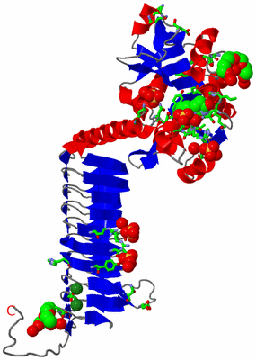 Image Asym. Unit - sites