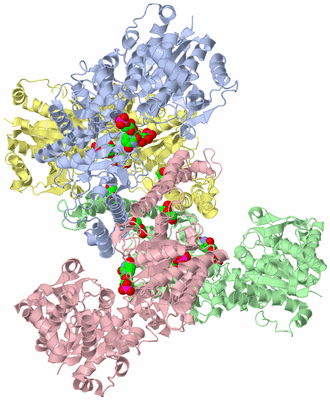 Image Asym./Biol. Unit