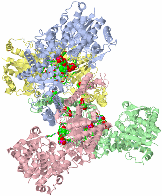 Image Asym./Biol. Unit - sites