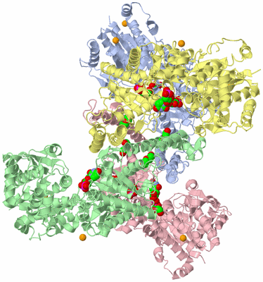 Image Asym./Biol. Unit