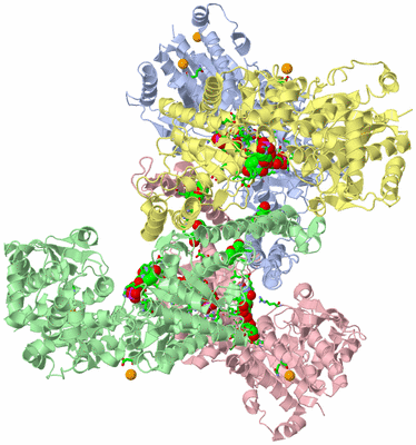 Image Asym./Biol. Unit - sites