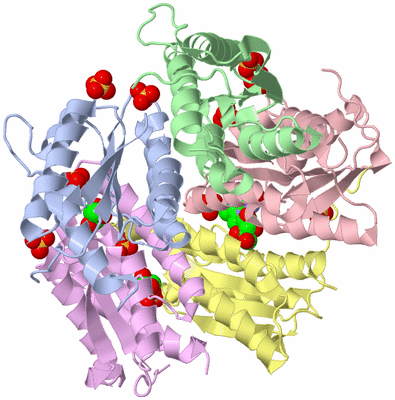 Image Biological Unit 1