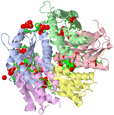 Image Biol. Unit 1 - sites