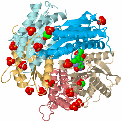 Image Biological Unit 2