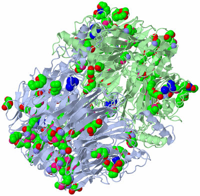 Image Biological Unit 1