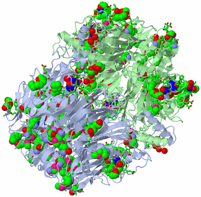 Image Biol. Unit 1 - sites