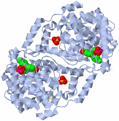 Image Biological Unit 1