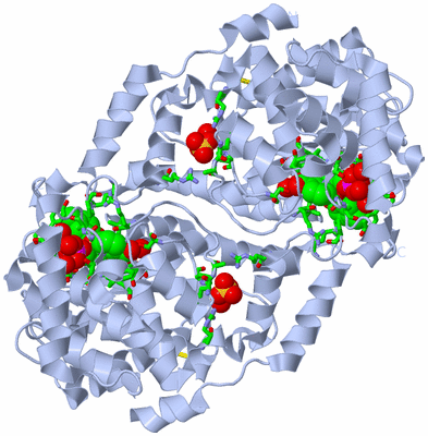 Image Biol. Unit 1 - sites