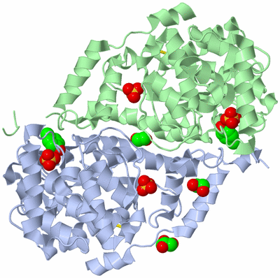 Image Asym./Biol. Unit