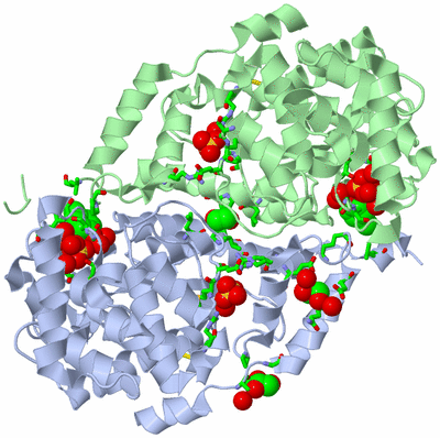 Image Asym./Biol. Unit - sites