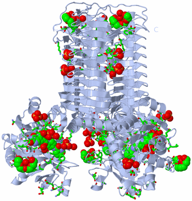 Image Biol. Unit 1 - sites