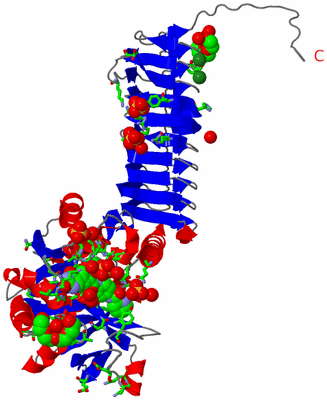 Image Asym. Unit - sites