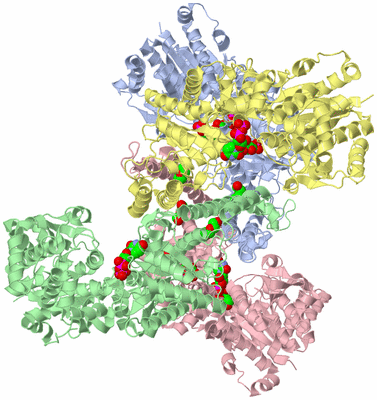 Image Asym./Biol. Unit