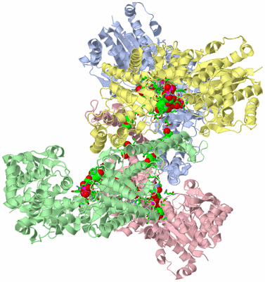 Image Asym./Biol. Unit - sites