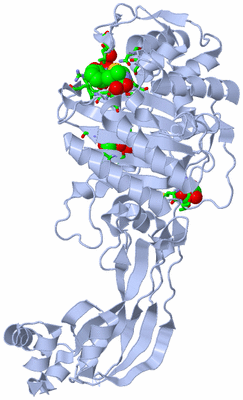 Image Biol. Unit 1 - sites